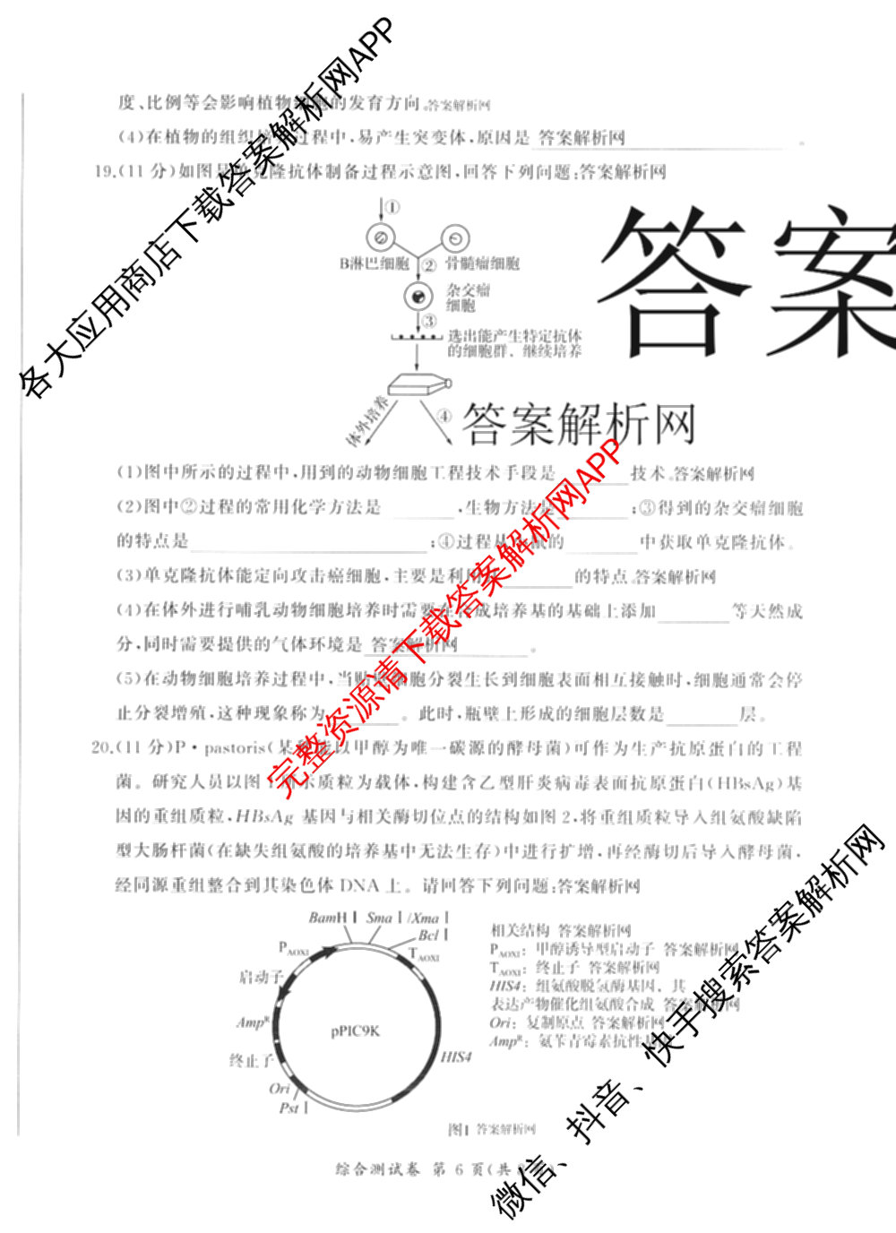 百师联盟2025-2026学年高二下学期阶段测试卷(四)4各科答案及试卷（21科全）生物试题