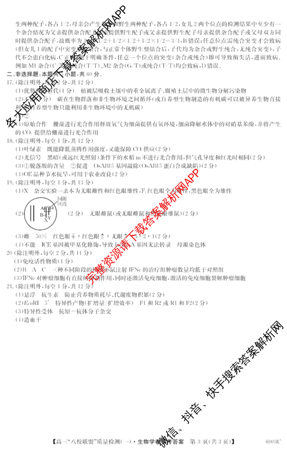 2025~2026学年度广东省高三