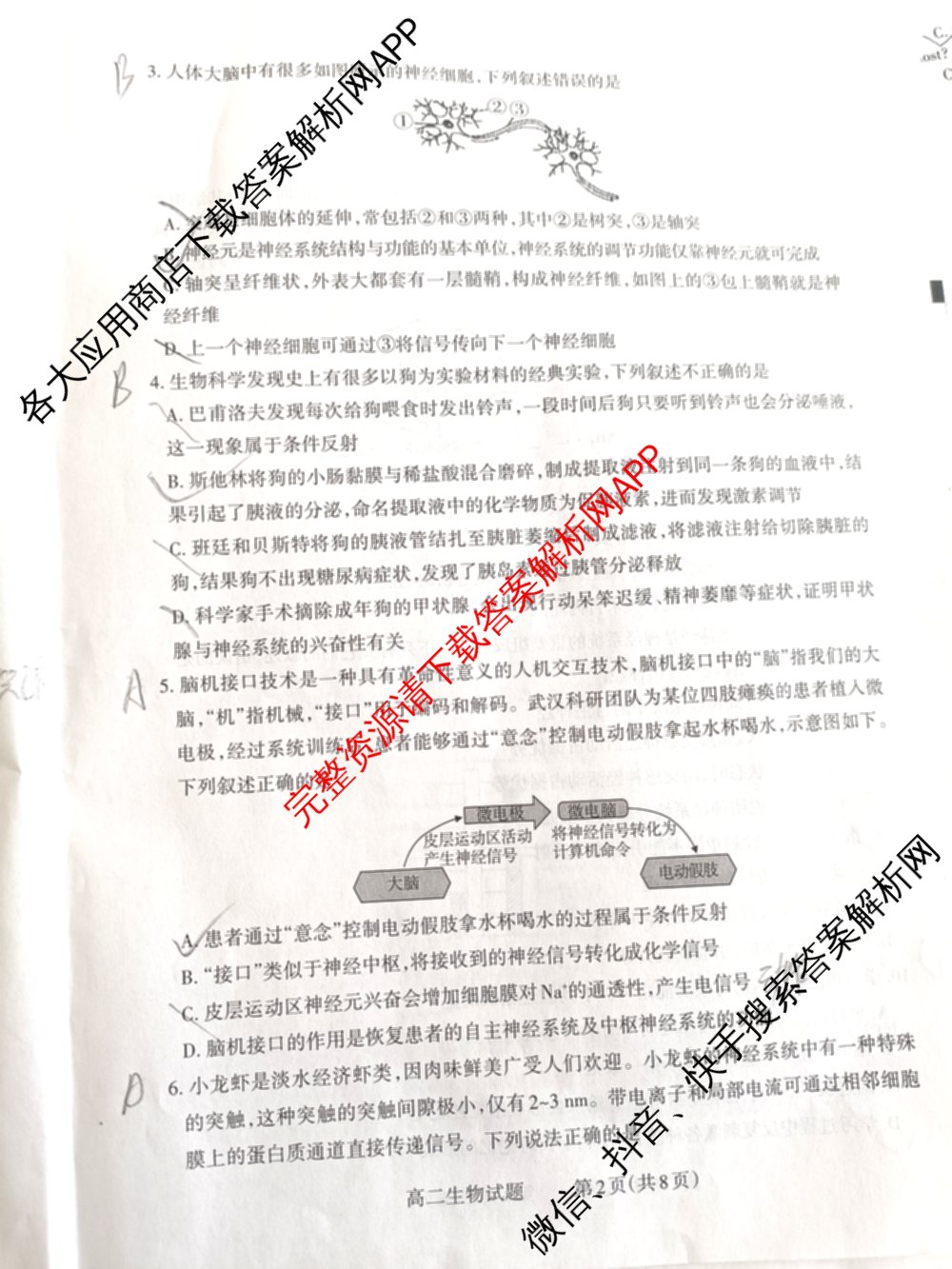 [注意是横线不是波浪线]山西省2025-2026学年第一学期高二年级期中学业诊断试卷及答案汇总（9科全）生物试题
