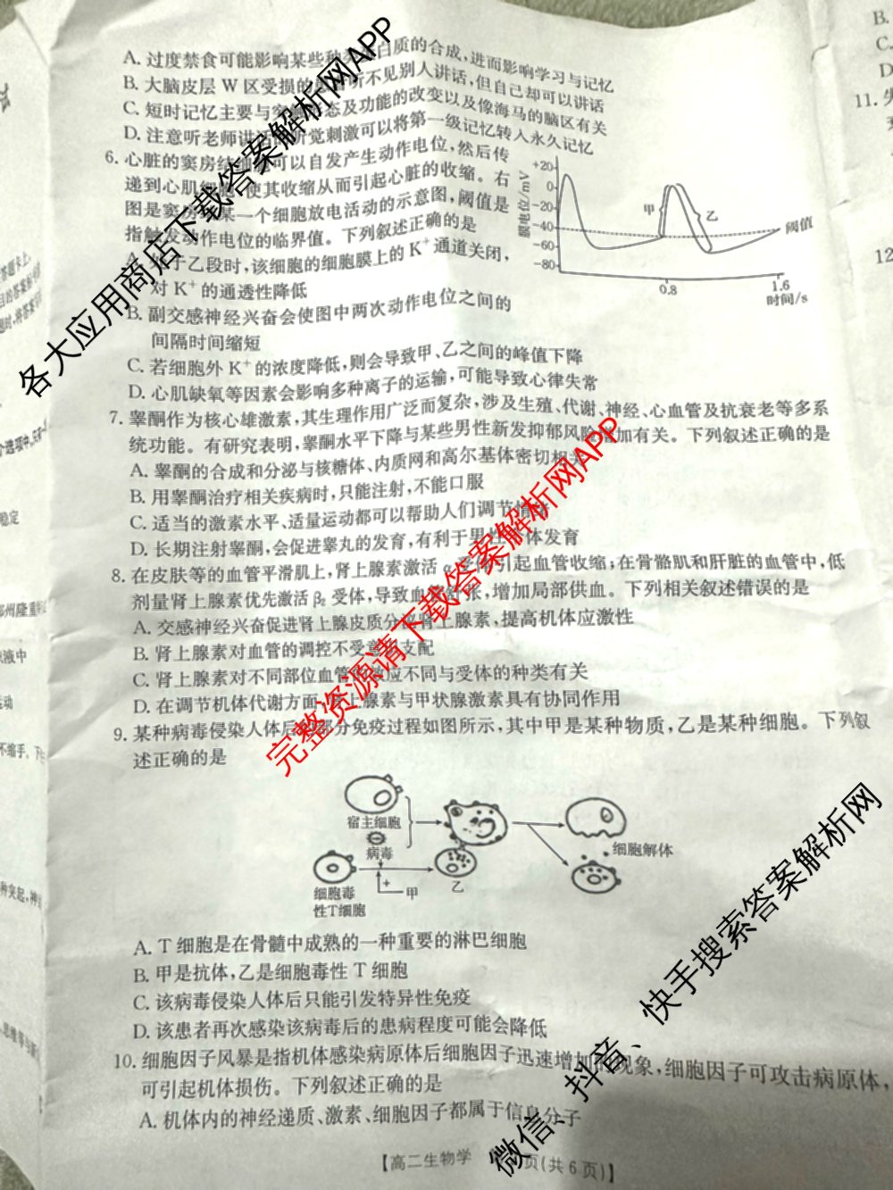 2025-2026年度上学期河南省高一年级期中考试各科答案及试卷: 含化学、生物、语文试卷解析生物试题