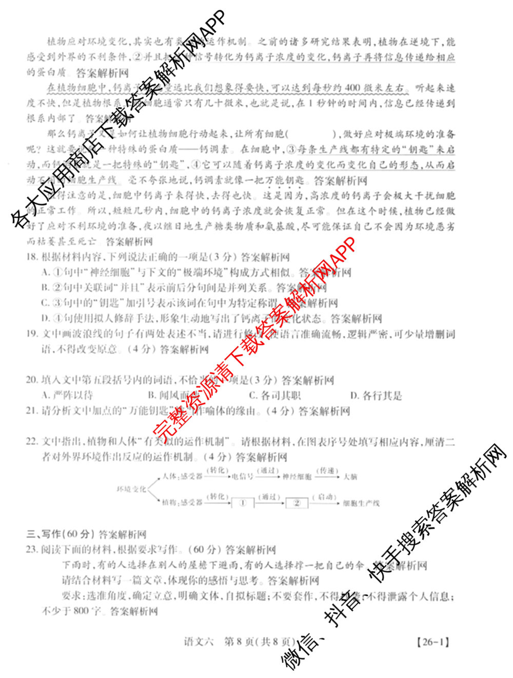 智慧上进2026届高三总复双向达标月考调研卷(六)6试卷及答案汇总（含政治 物理(HEN) 物理(II)等11份）语文试题