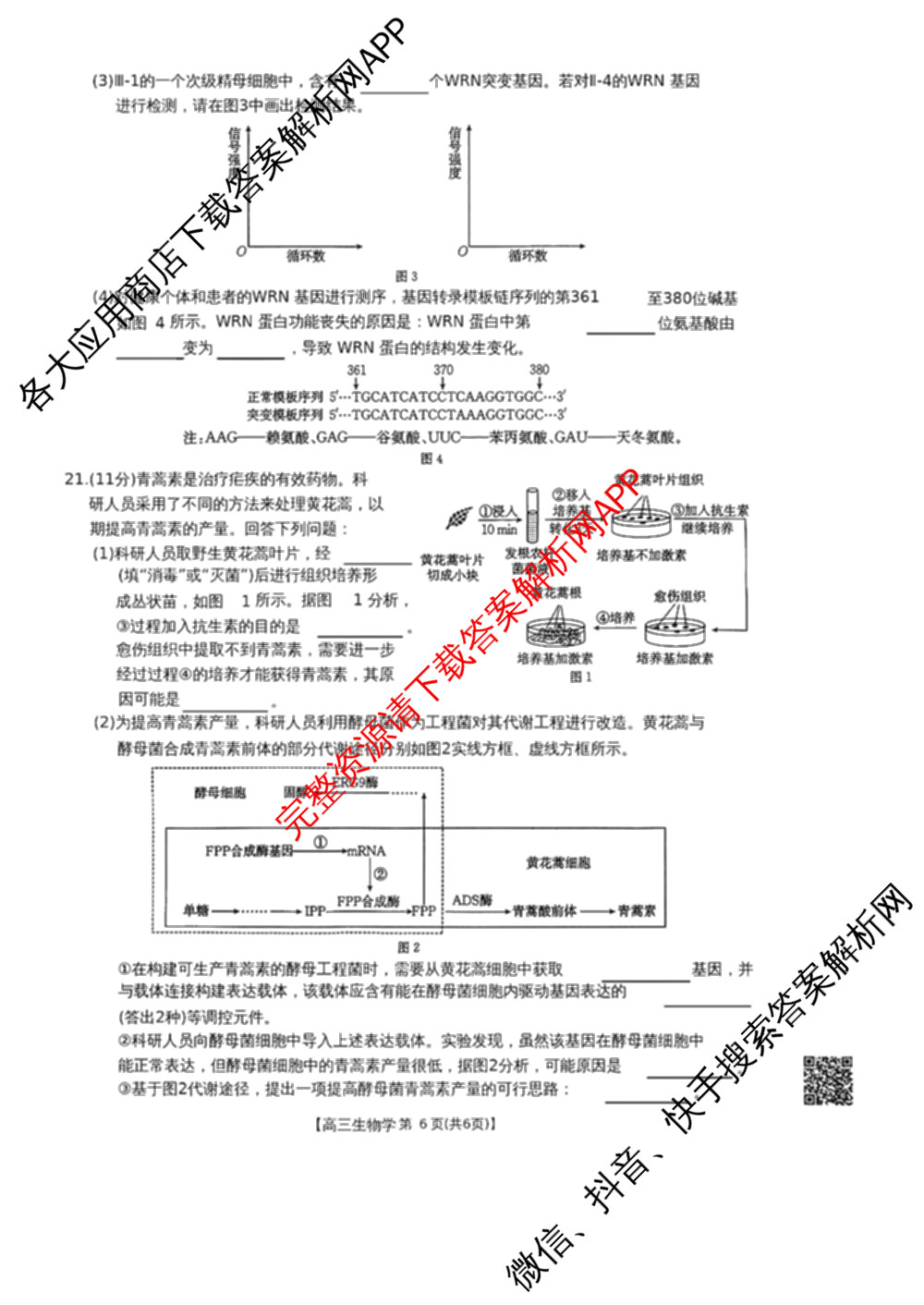 云南省2026届高三考试(2.27)（含政治、物理、化学等）生物试题