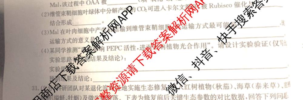 2026年全国高考仿真模拟卷(五)5试卷及答案汇总（含政治(河南)、物理(广西)、政治(E2)等）理综试题