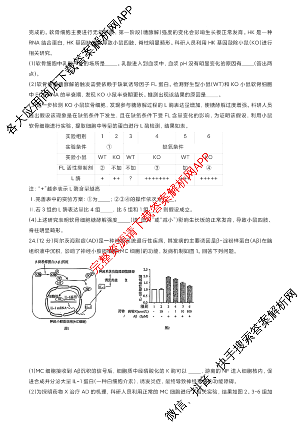 山东名校考试联盟2024年12月高三年级阶段性检测（含地理 物理 语文等）生物试题