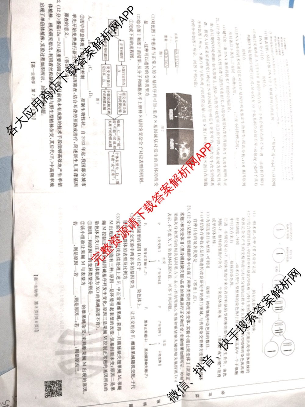 河北省沧州市2024-2025学年第二学期期末教学质量监测高一（9科全）生物试题