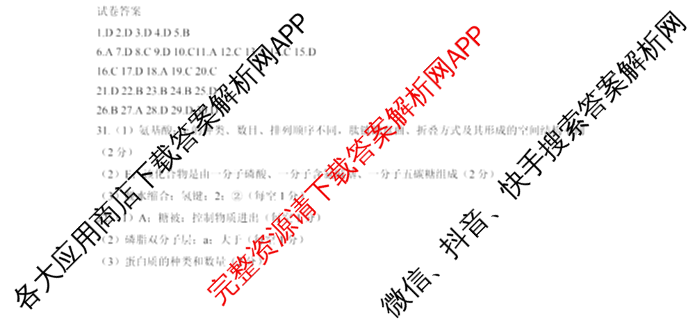 重庆一中高2028届高一上期期中考试（含地理、数学、语文等9份）生物答案