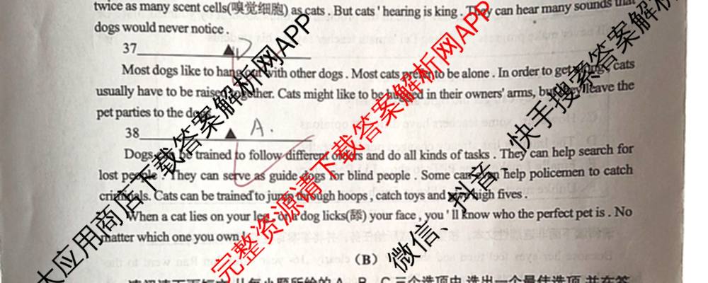 山西省2025-2026学年度(上)九年级第三次学情检测试卷及答案汇总: 含历史(A卷) 道德与法治(A卷) 数学(A卷)试卷解析英语试题