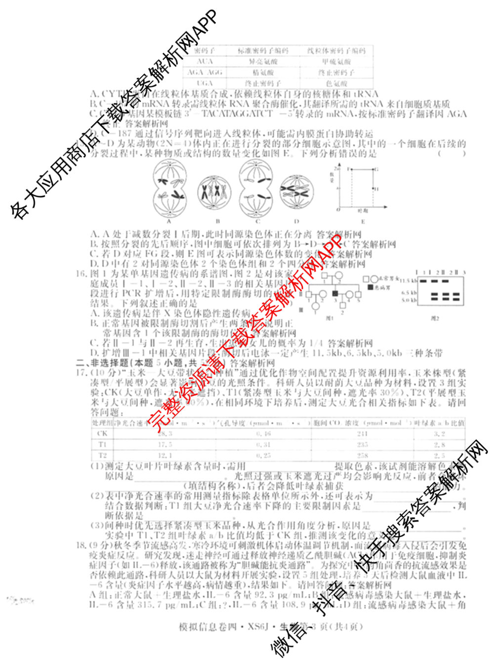 2026年普通高等学校招生统一考试模拟信息卷(四)4各科答案及试卷(已更新化学(XS6J)、地理(XS6J)、英语(XS6)等11份)生物试题