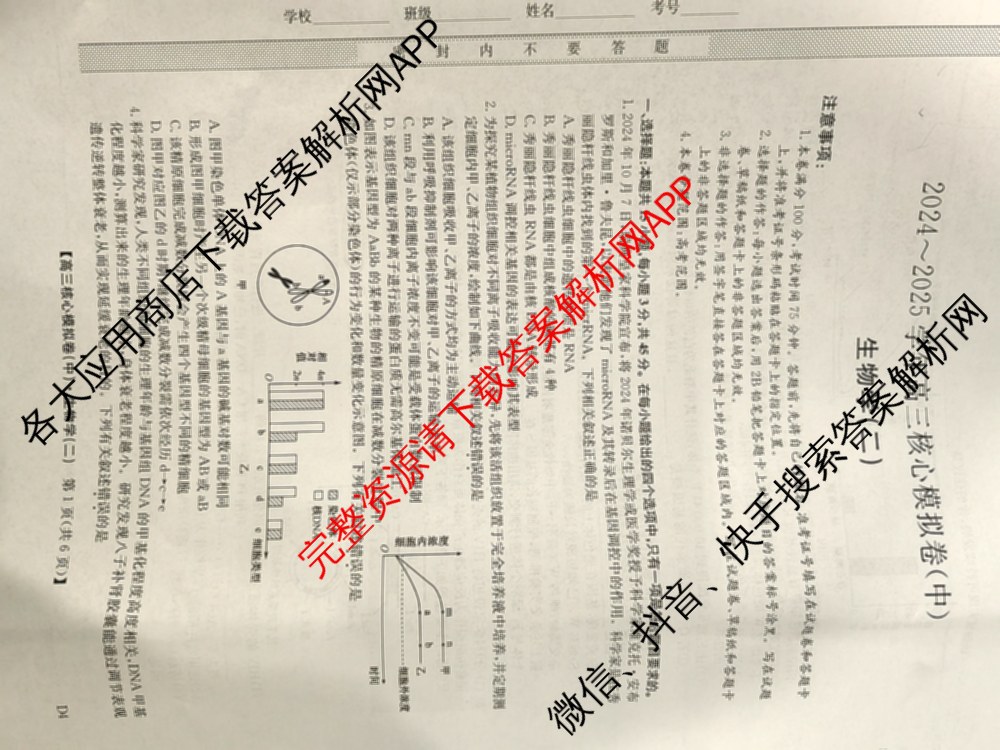 九师联盟2024~2025学年高三核心模拟卷(中)(二)2各科答案及试卷: 含政治(JX) 生物(D1) 生物(HB)试卷解析生物试题
