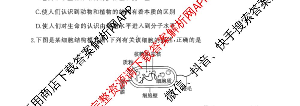 百师联盟2025-2026学年高一年级12月阶段检测试卷及答案汇总(已更新语文 政治 英语等11份)生物试题