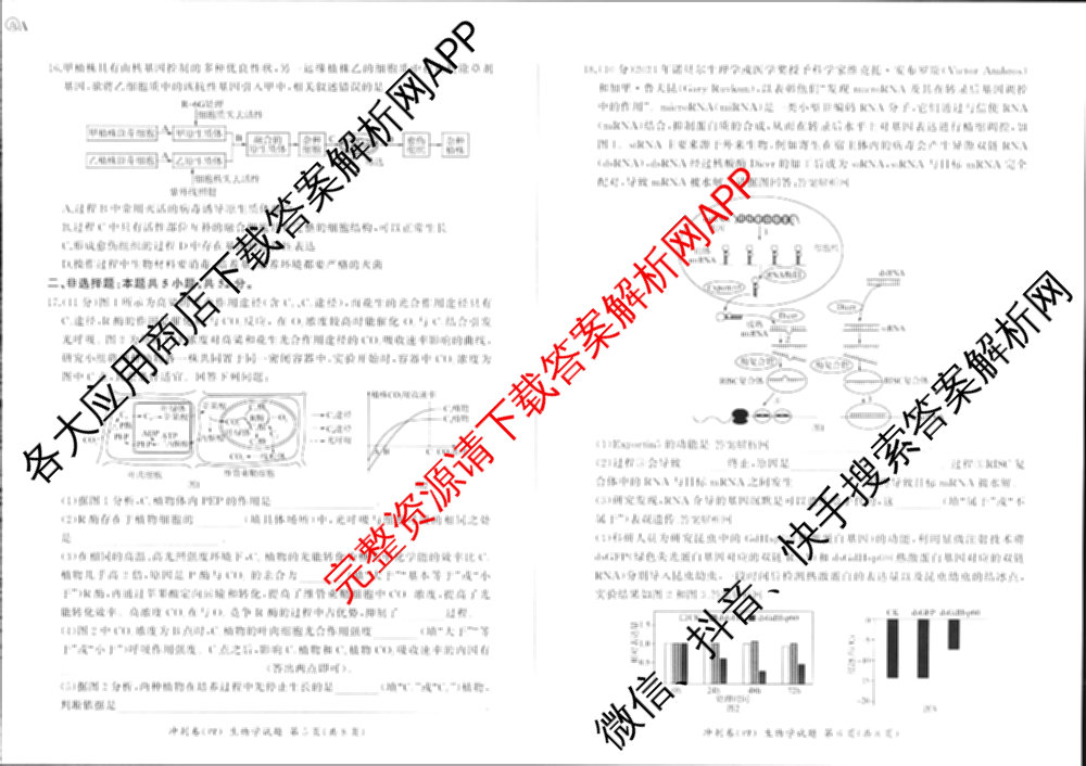 百师联盟2025届高三冲刺卷(四)4试卷及答案汇总（39科全）生物试题