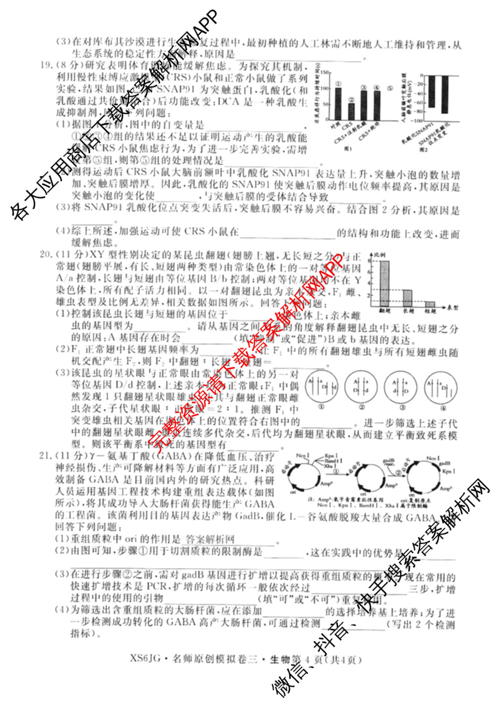 2026届高三总复名师原创模拟(三)3各科答案及试卷（含政治(CQX6)、生物(CQX6)、物理(HN6)等）生物试题