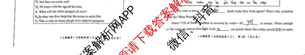 2024-2025学年度第二学期七年级周期学业能力评鉴(三)试卷及答案汇总(7科全)英语试题 2024-2025学年度第二学期七年级周期学业能力评鉴(三)试卷及答案汇总(7科全)英语试题