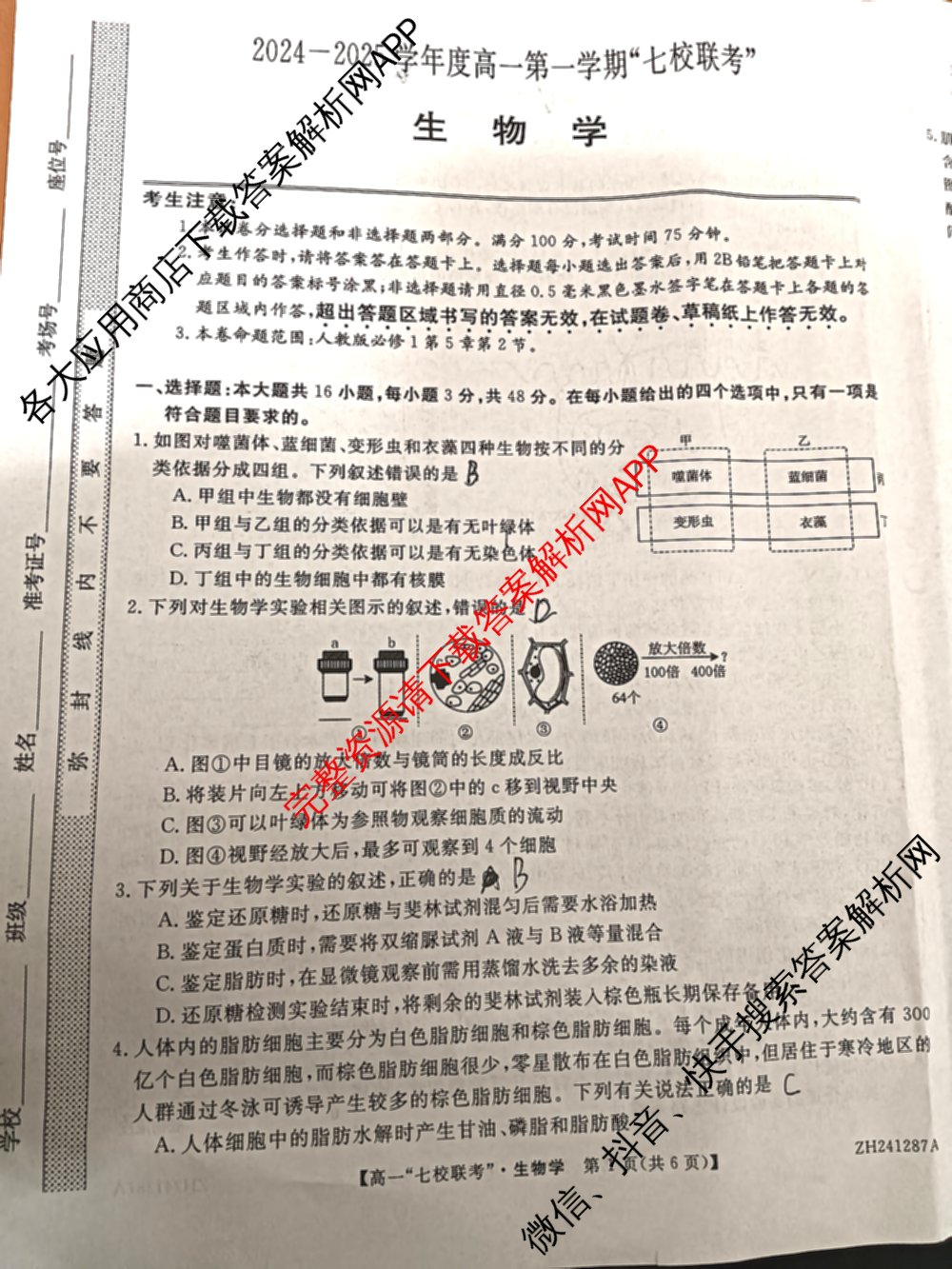 陕西省2024-2025学年度高一第一学期七校联考(ZH241287A)(已更新化学、历史、政治等9份)生物试题
