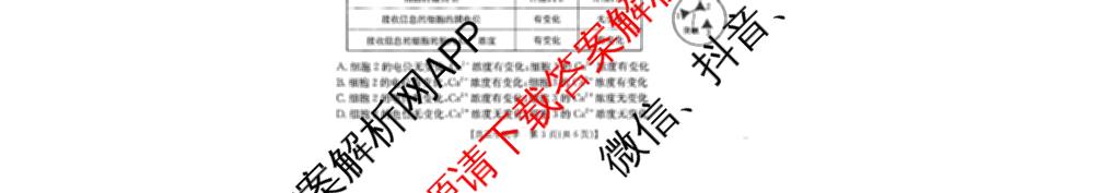 广西2026届高三开学考试(8.6)各科答案及试卷（9科全）生物试题