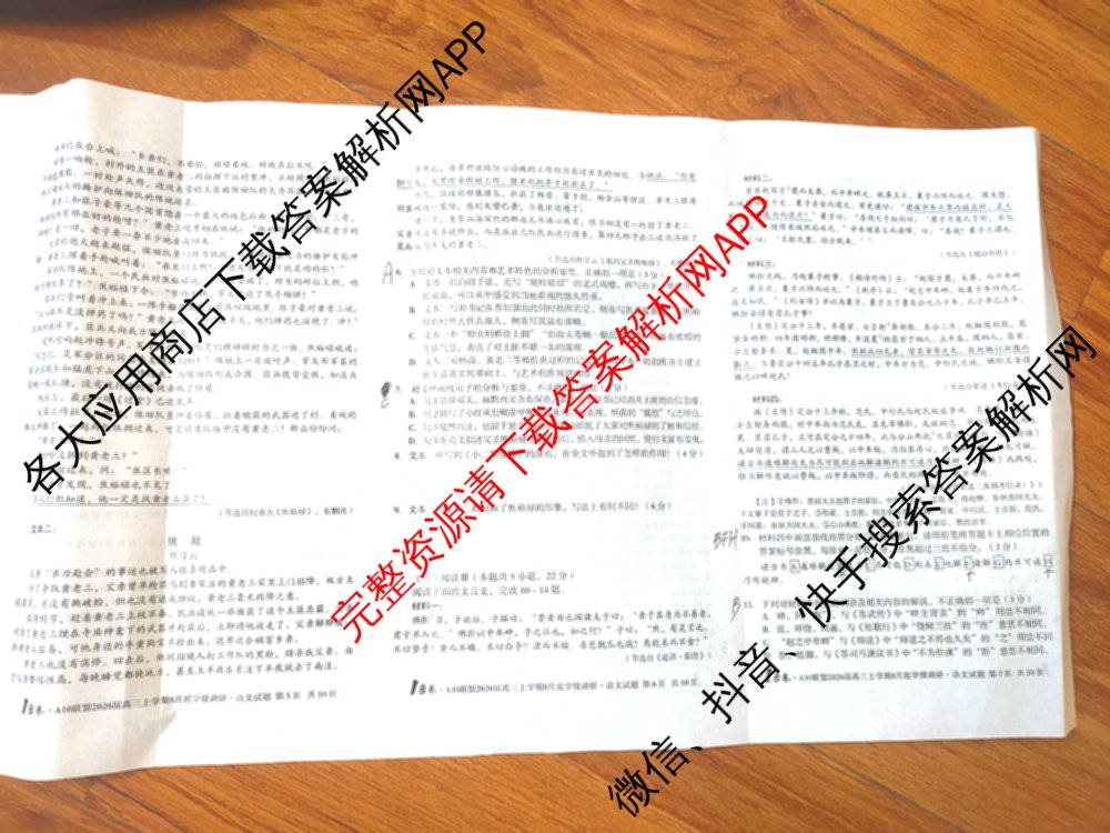1号卷A10联盟2026届高三上学期8月底学情调研考各科答案及试卷(含日语 政治 语文等)语文试题 1号卷A10联盟2026届高三上学期8月底学情调研考各科答案及试卷(含日语 政治 语文等)语文试题