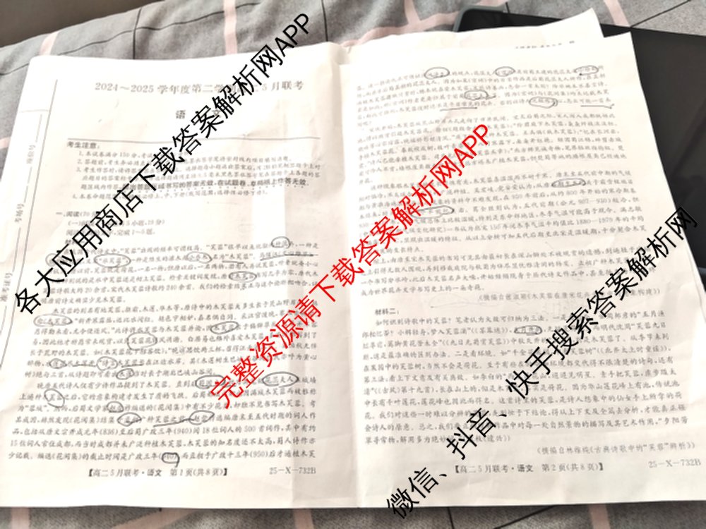 [安徽县中联盟]2024~2025学年度第二学期高二5月联考(25-X-732B)（含历史 数学(A卷) 化学(A卷)等）语文试题