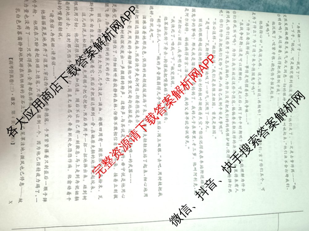 陕西省2025届高考仿真卷(三)各科答案及试卷（11科全）语文试题