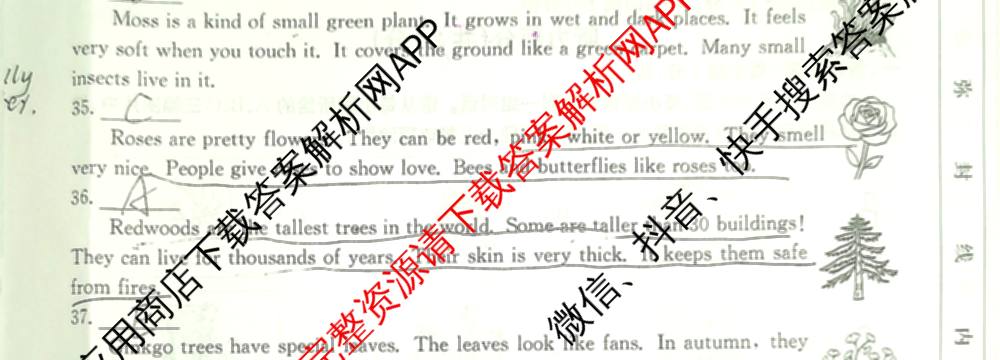 晋城市八年级上学期长标期中（含物理(R)、地理(XJB)、数学(HSD)等）英语试题