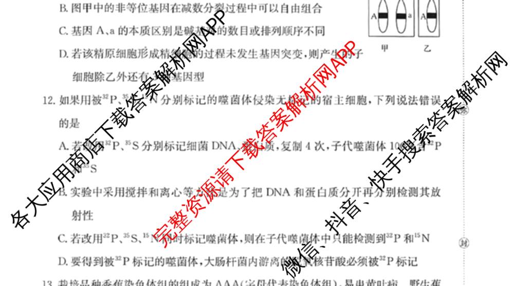 甘肃省白银市2024-2025学年高一年级下学期期末考试模拟卷(二)(GSZW)试卷及答案汇总（9科全）生物试题
