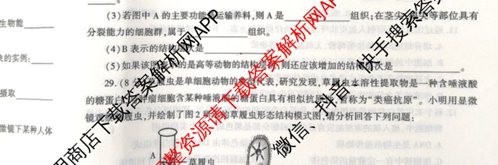 陕西省2024-2025学年度七年级第一学期期中调研试题(卷)试卷及答案汇总（17科全）生物试题