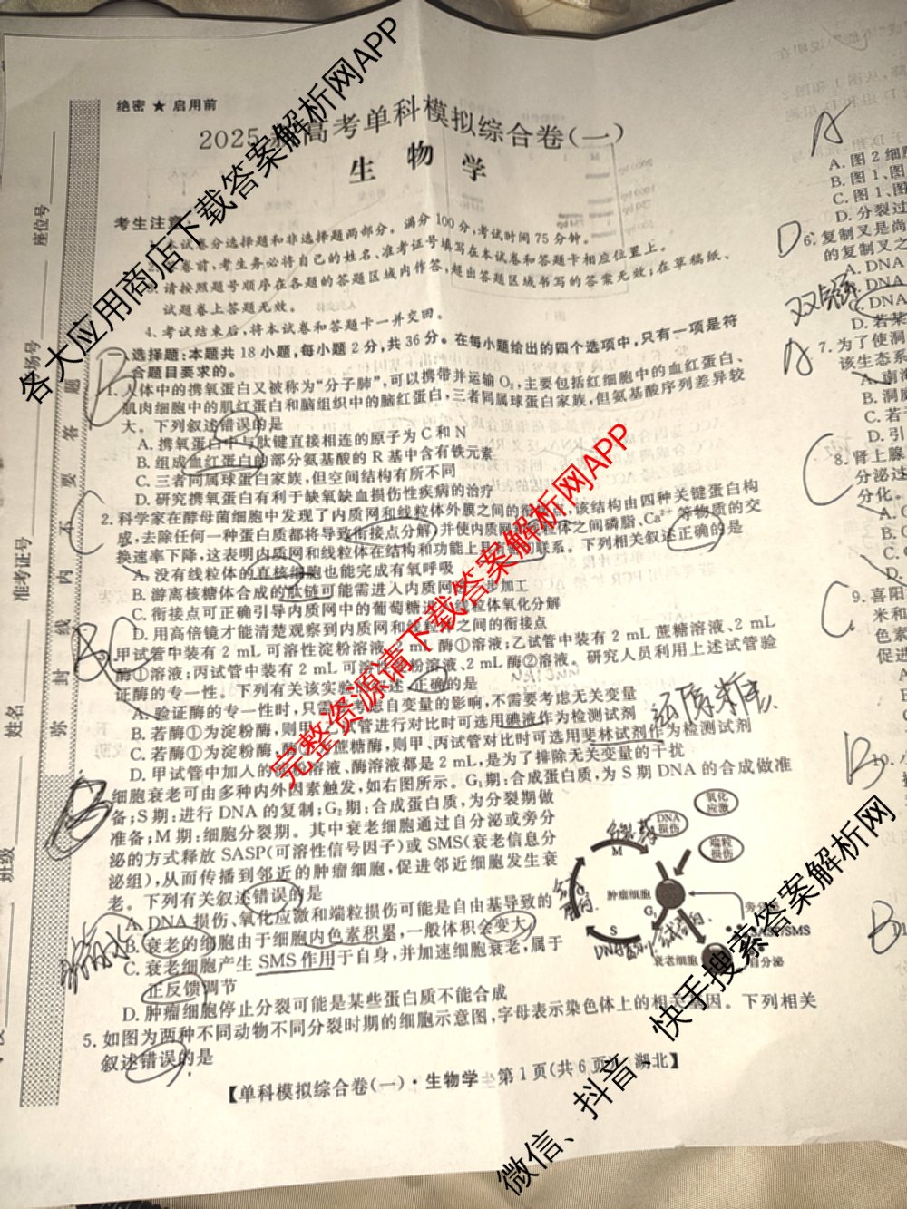 2025新高考单科模拟综合卷(三)3试卷及答案汇总（含历史(湖南) 物理(河北) 生物(河北)等36份）生物试题