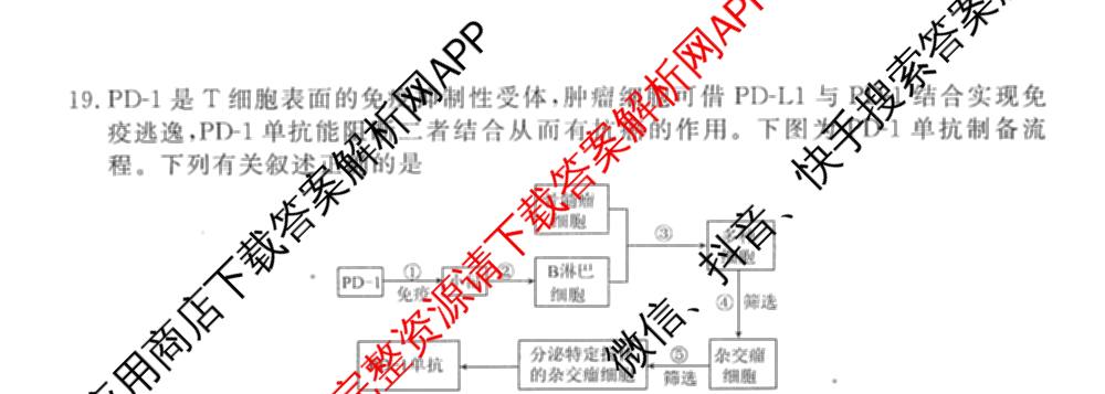 衡水金卷先享题调研卷2026年普通高等学校招生全国统一考试模拟试题(五)5试卷及答案汇总（含政治、生物、物理(L)等）生物试题