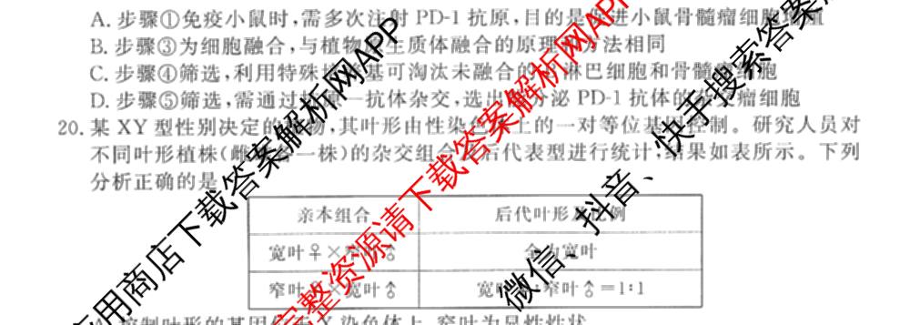 衡水金卷先享题调研卷2026年普通高等学校招生全国统一考试模拟试题(五)5各科答案及试卷（91科全）生物试题