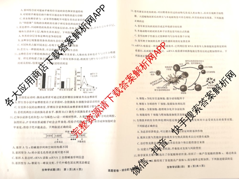 衡水真题密卷2025-2026学年度综合能力调研检测(四)4各科答案及试卷(已更新化学(2)、历史(1)、生物(2)等14份)生物试题