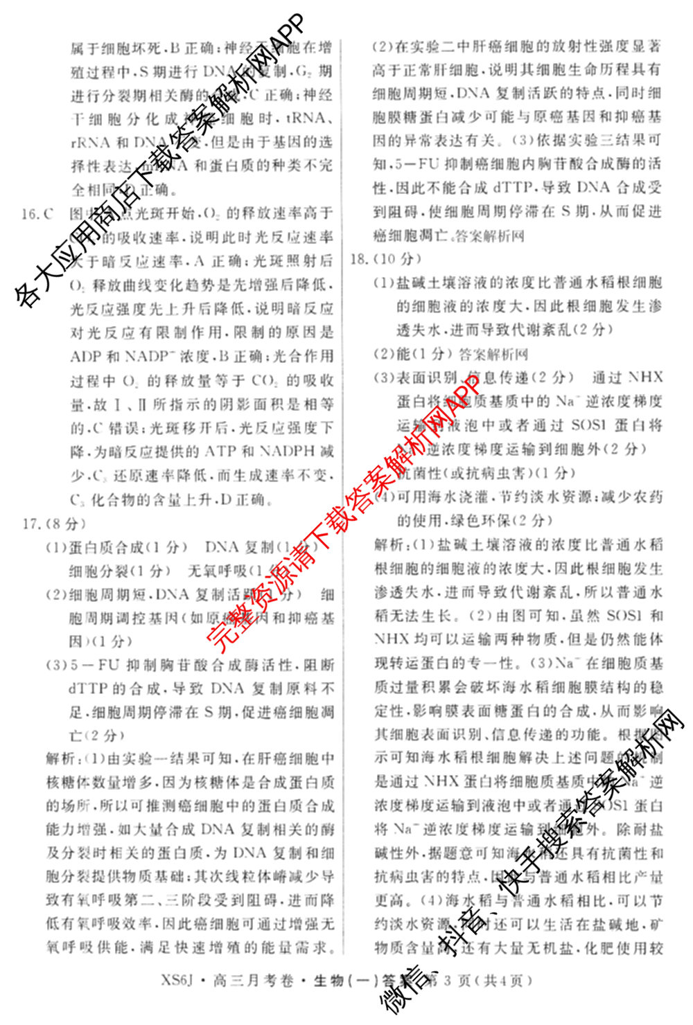 名校联考2026届高三总复月考卷(一)1各科答案及试卷(已更新化学(XS6J)、历史(XS6J)、数学(XS6)等9份)生物答案