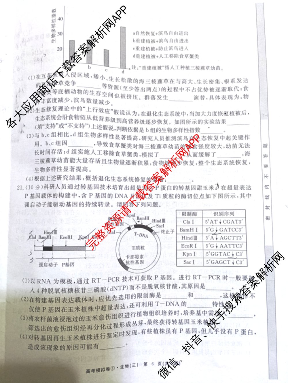 2026届高考模拟卷(三)3试卷及答案汇总（含生物(②) 生物(④) 物理(②)等）生物试题
