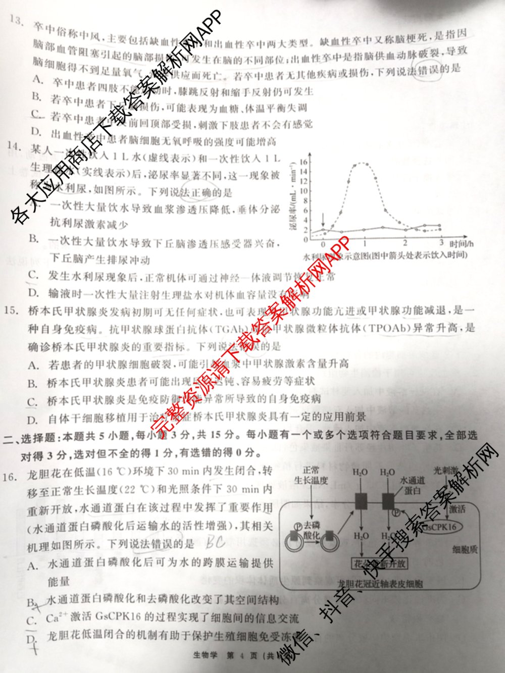 山东省2026届高三12月大联考试卷及答案汇总（9科全）生物试题