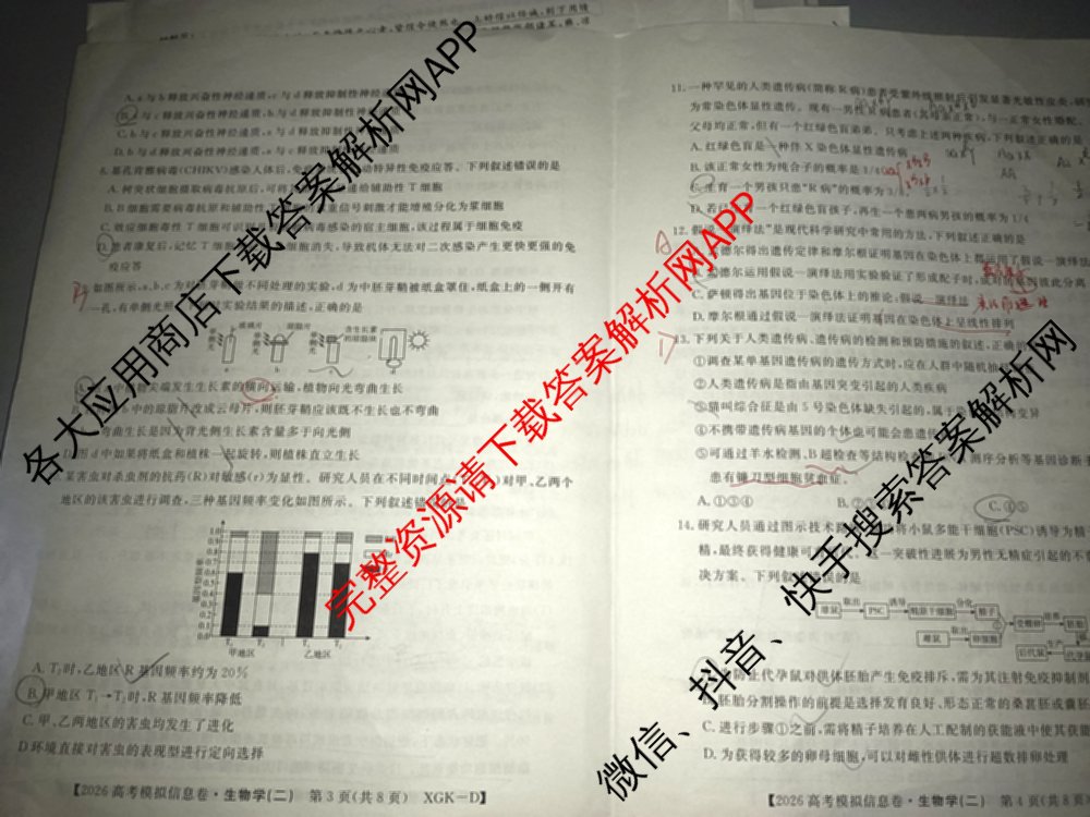 2026年普通高等学校招生全国统一考试模拟信息卷(二)2(已更新政治(XGK-A)、物理(XGK-B)、语文(XGK-A)等13份)生物试题