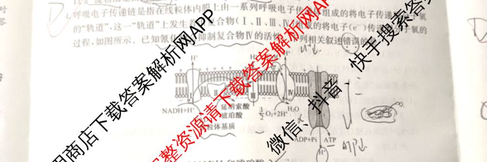 金玉米陕西教育联盟2026届高三一轮复收官卷(三) 试卷及答案汇总（含化学 物理 语文等）生物试题