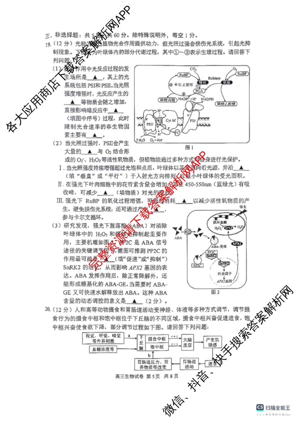 2023-2024学年度苏锡常镇四市高三教学情况调研(二)（含化学、地理、物理等）生物试题