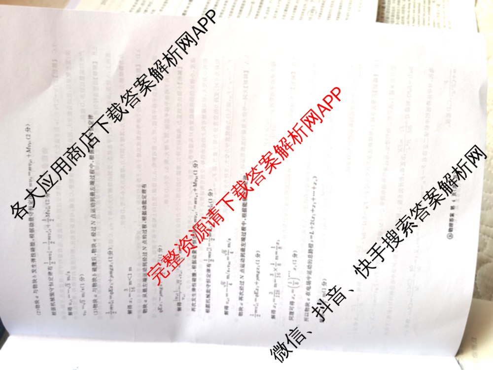 百师联盟2025-2026学年高三年级全真模拟测试卷试卷及答案汇总（含地理 英语 物理(B)等9份）物理答案