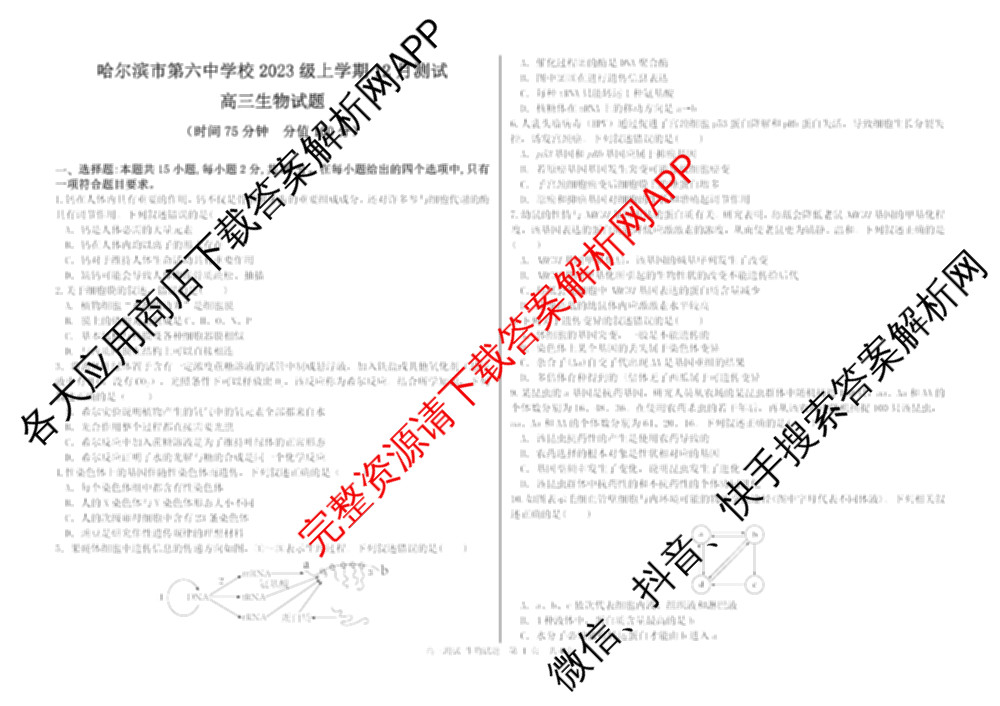 哈尔滨市第六中学2023级上学期12月测试高三试卷及答案汇总（含化学、政治、生物等）生物试题