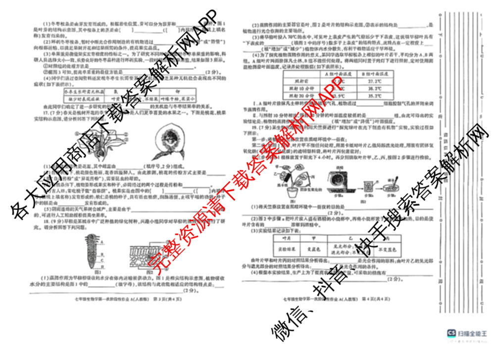陕西省2024-2025学年度七年级第二学期第一次阶段性作业(A)各科答案及试卷（含历史(部编版)、英语(外研社版)、数学(北师大版)等）生物试题