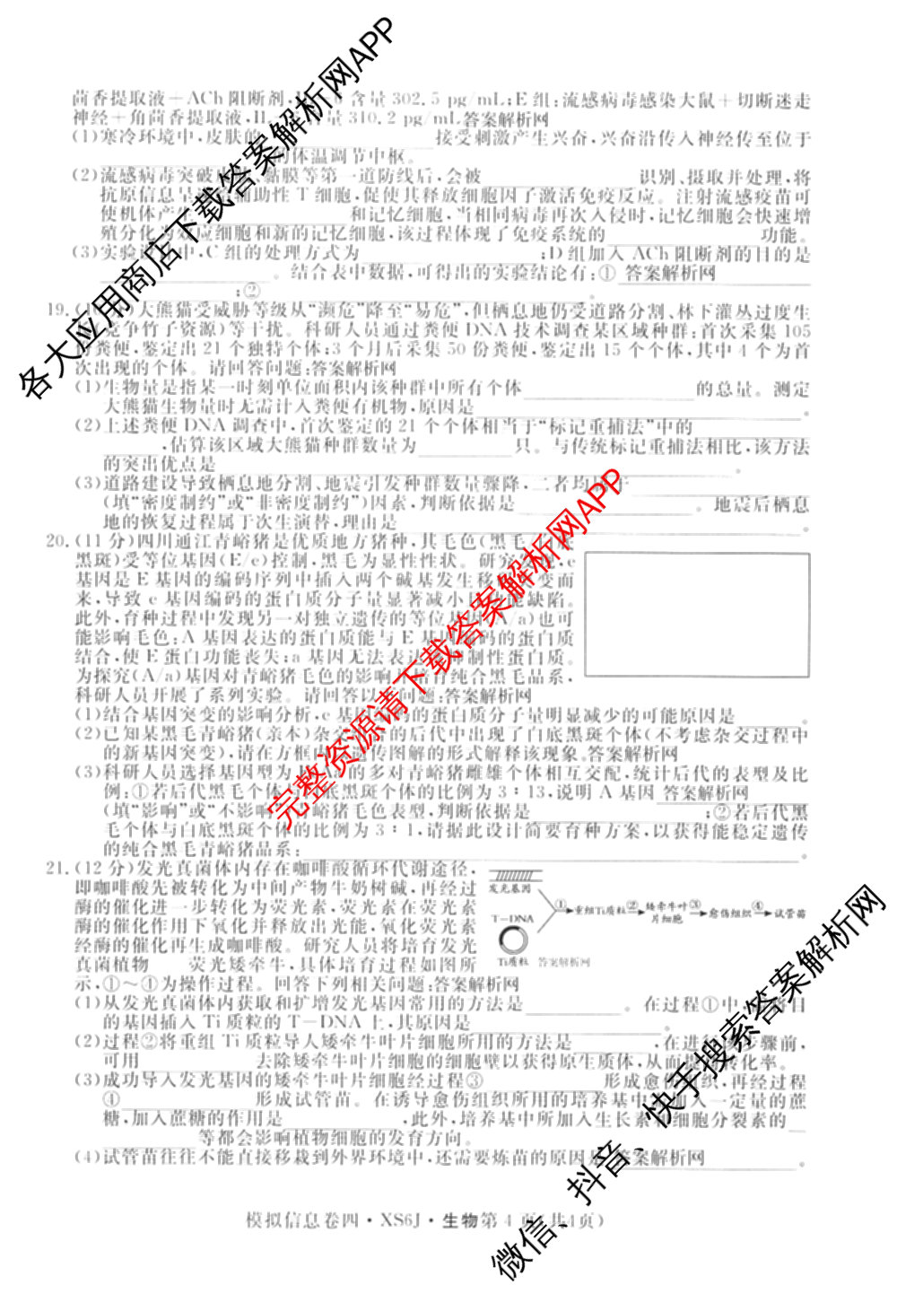 2026年普通高等学校招生统一考试模拟信息卷(四)4各科答案及试卷(已更新化学(XS6J)、地理(XS6J)、英语(XS6)等11份)生物试题