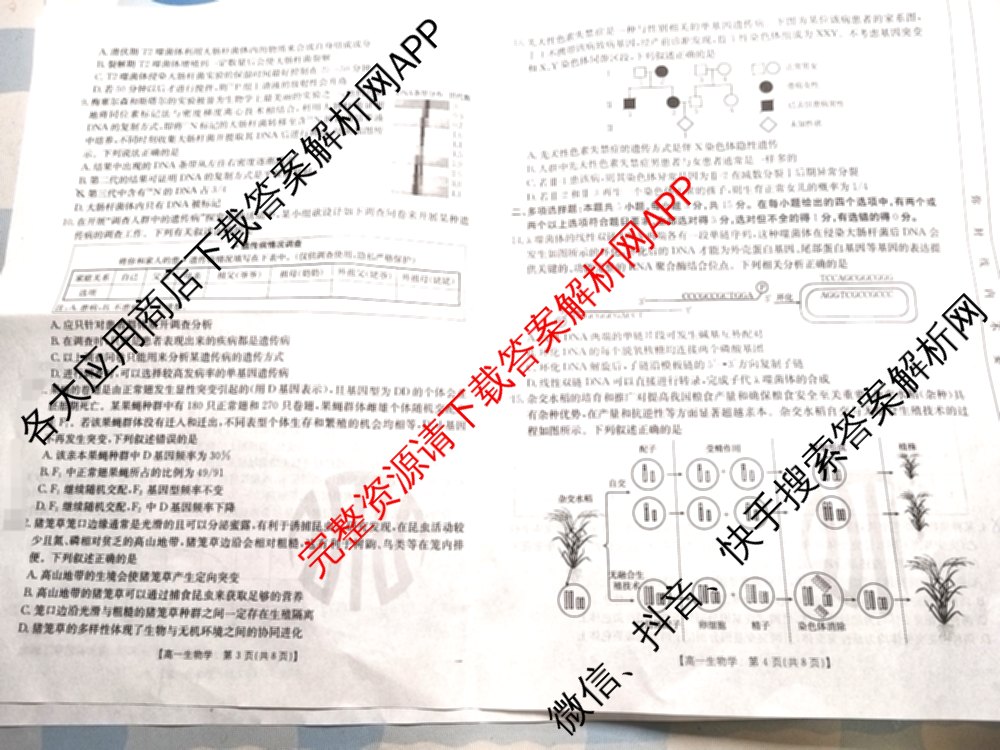河北省沧州市2024-2025学年第二学期期末教学质量监测高一（9科全）生物试题