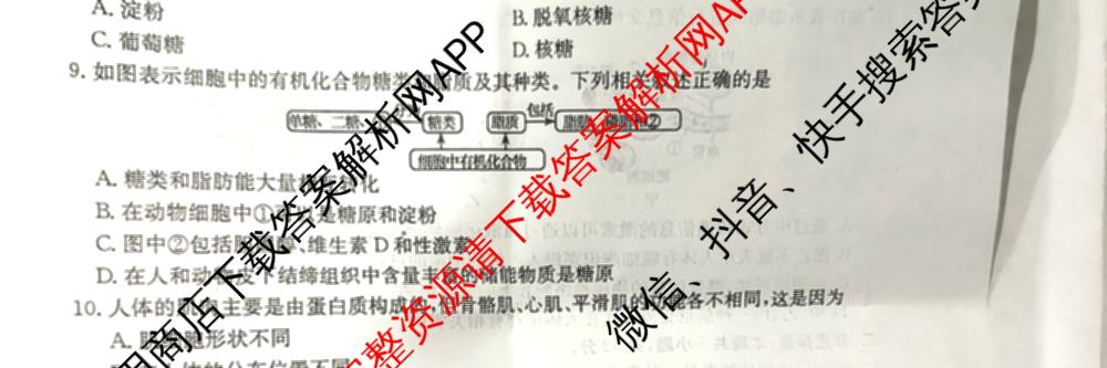 陕西省榆林市靖边三中2024-2025学年度第一学期高一年级期中考试(已更新英语、语文、政治等9份)生物试题