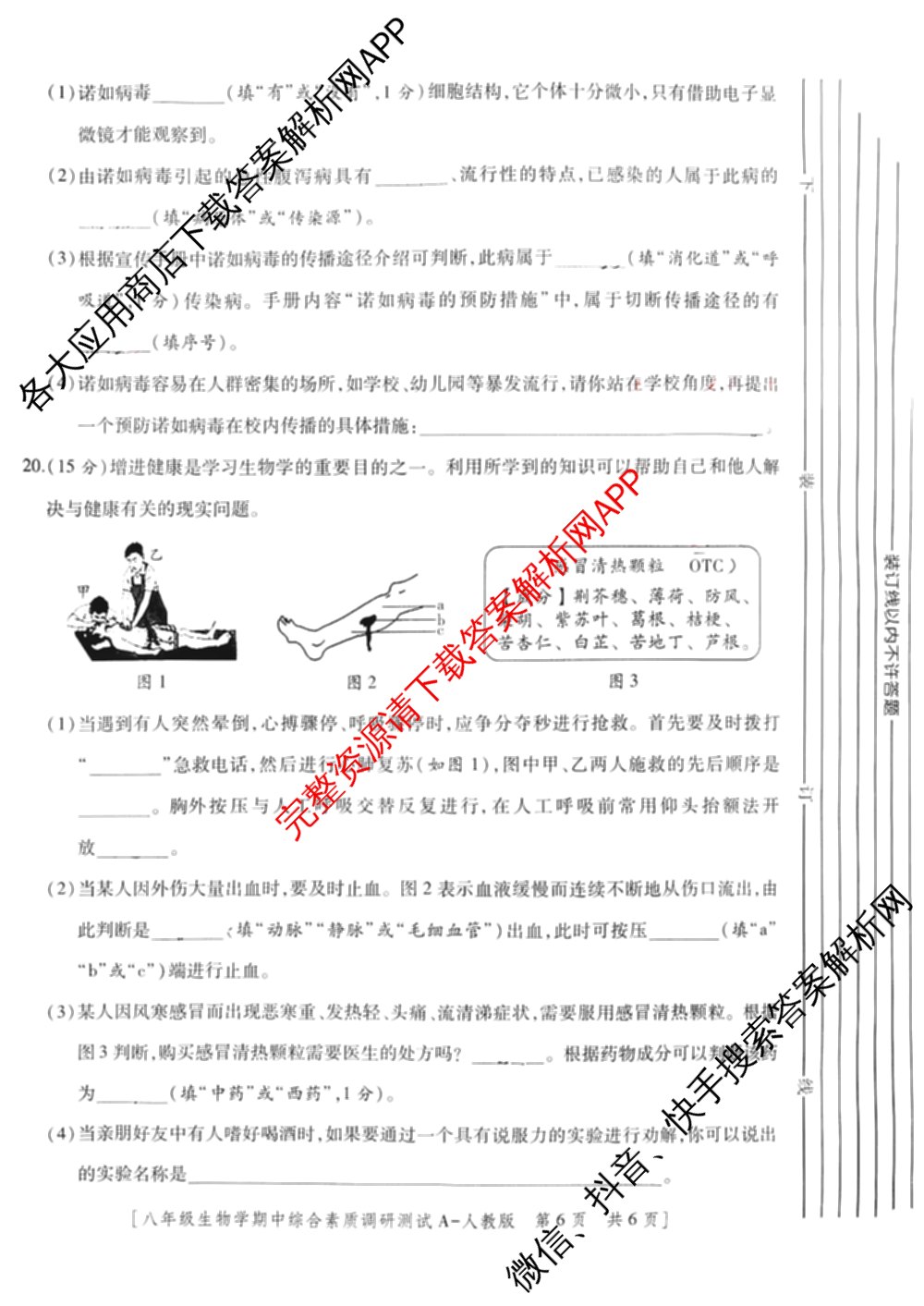 陕西省2025~2026学年度第一学期期中综合素质调研测试八年级[试卷类型A]试卷及答案汇总（8科全）生物试题