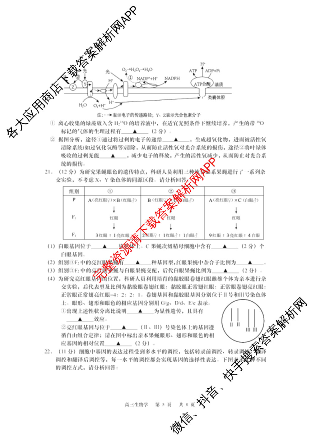 江苏省如皋市2025-2026学年度高三年级第一学期教学质量调研(一)(含语文 物理 英语等)生物试题 江苏省如皋市2025-2026学年度高三年级第一学期教学质量调研(一)(含语文 物理 英语等)生物试题