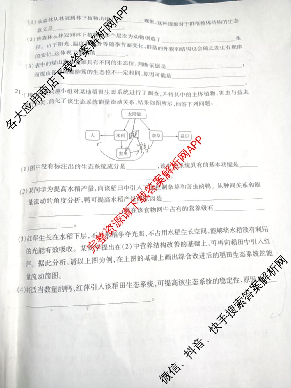 天一大联考2024-2025学年高二年级阶段性测试(二)2（含化学、政治(B卷)、语文等）生物试题