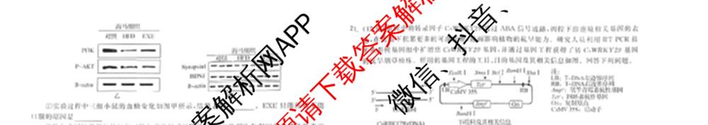 天舟高考衡中同卷2026年普通高等学校招生全国统一考试模拟信息卷(三)3（35科全）生物试题