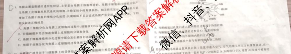 衡中同卷2024-2025学年度高三复滚动卷(一)1: 含生物(L版) 生物(X版) 语文(A)试卷解析生物试题 衡中同卷2024-2025学年度高三复滚动卷(一)1: 含生物(L版) 生物(X版) 语文(A)试卷解析生物试题
