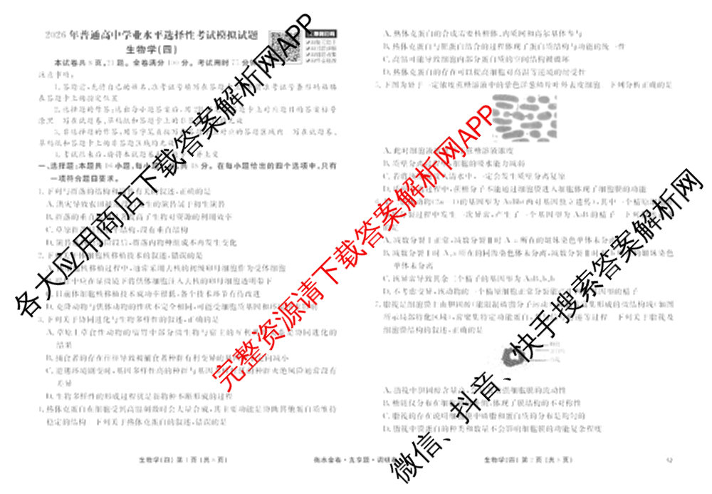 衡水金卷先享题调研卷2026年普通高等学校招生全国统一考试模拟试题(四)4(已更新生物(山东专版) 理综 历史(JS)等91份)生物试题