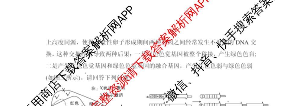 安徽省皖豫联考2025-2026学年高三上学期11月期中(无标题)试卷及答案汇总（含数学 历史 英语等9份）生物试题