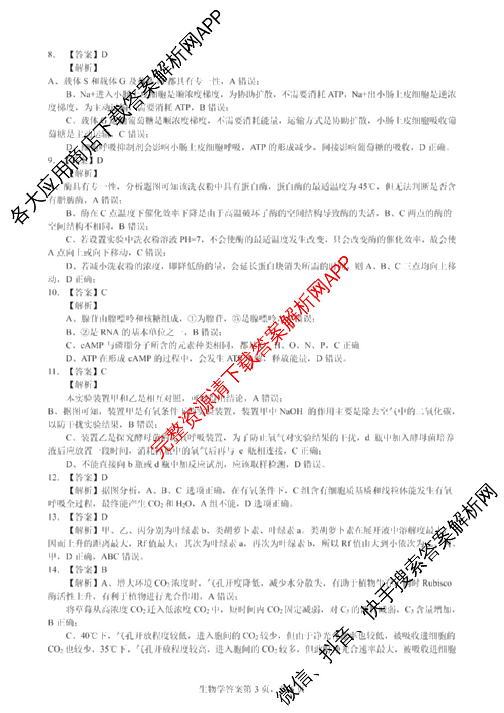 安徽省十联考合肥一中2024-2025学年度高一年级上学期期末测试各科答案及试卷（9科全）生物答案