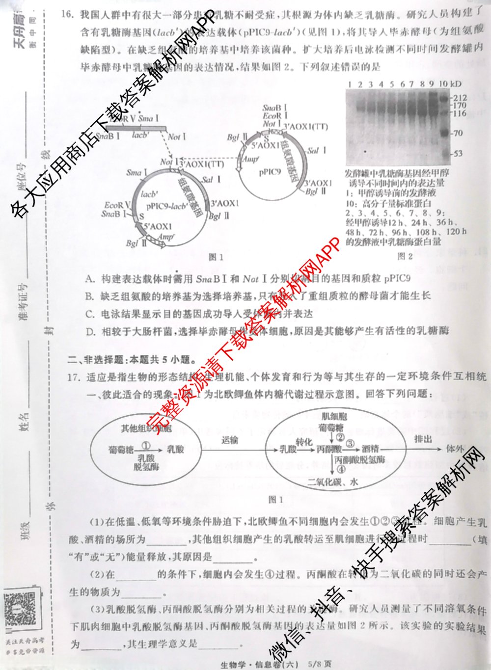 天舟高考衡中同卷2025年普通高等学校招生全国统一考试模拟信息卷(六)6（含数学(A) 理综(XJ专版) 语文(A)等）生物试题
